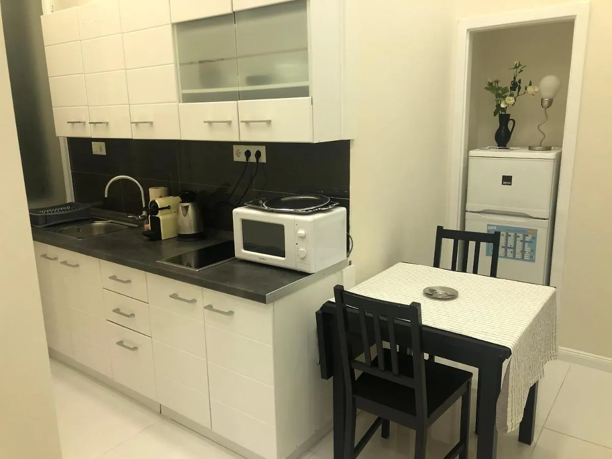 Dohany Central Apartment Budapest Hungary